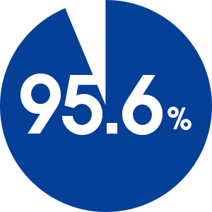 95.6%