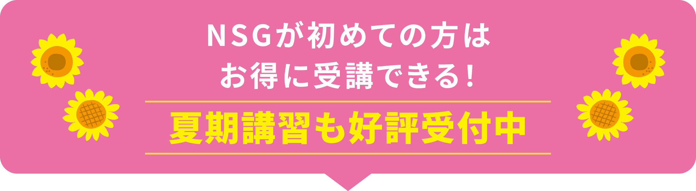 実はとっても“お得に”受講できるNSGの夏期講習