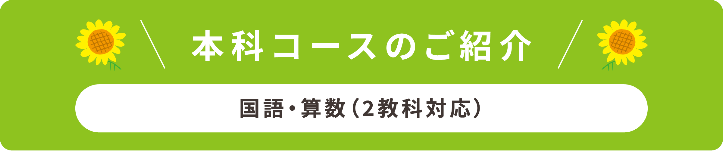 本科コースのご紹介