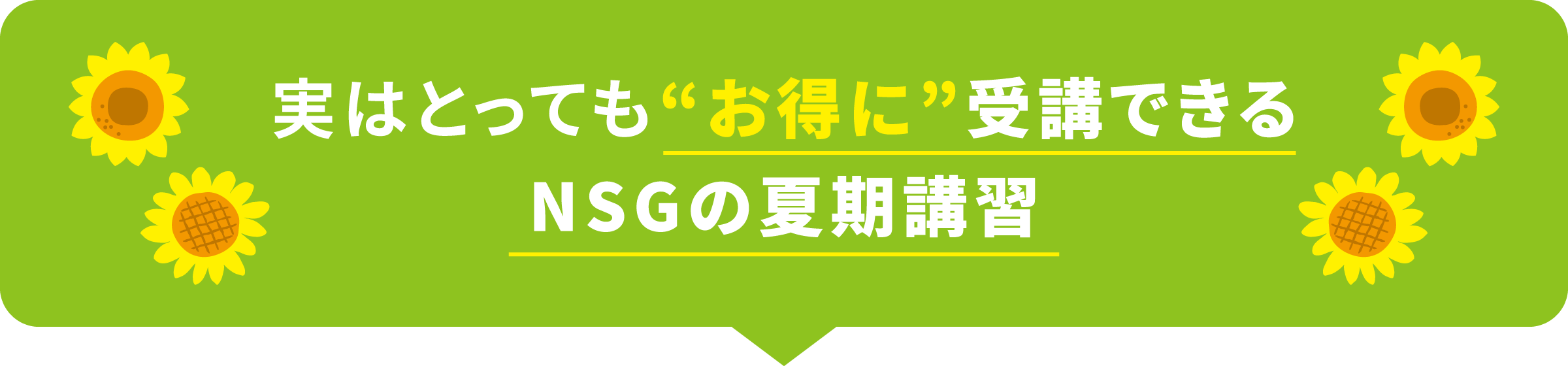 実はとっても“お得に”受講できるNSGの夏期講習