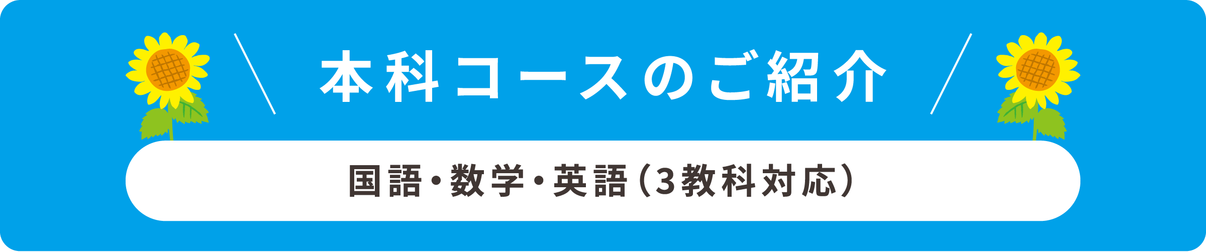 本科コースのご紹介