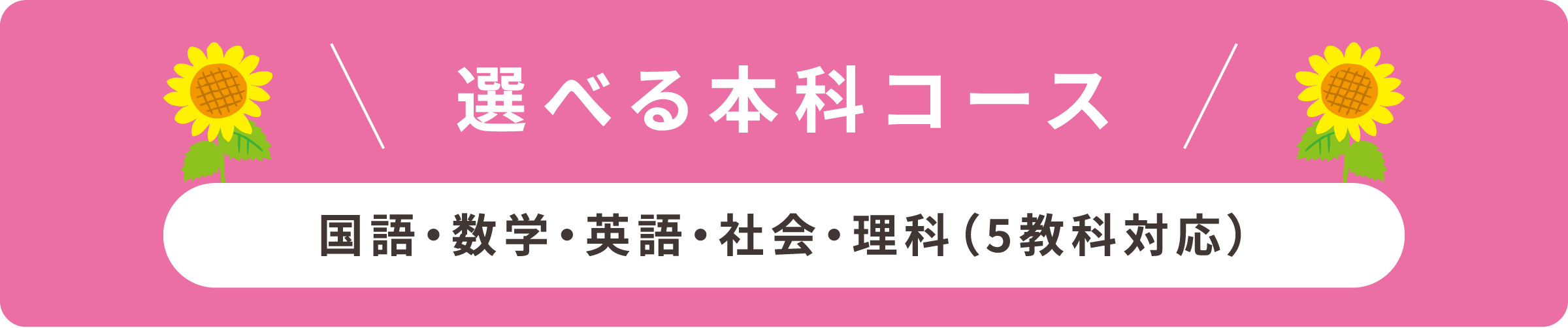 選べる本科コース