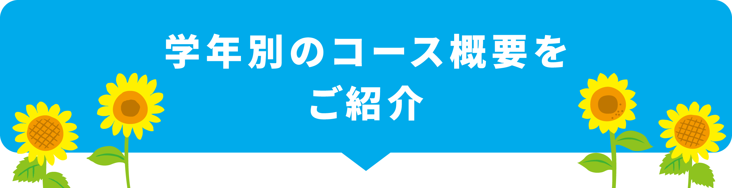 学年別のコース概要をご紹介