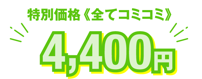 特別価格《全てコミコミ》4,400円